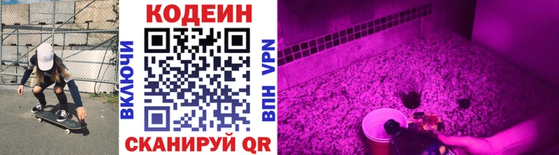 мега вход  Судогда  Кодеин Purple Drank 