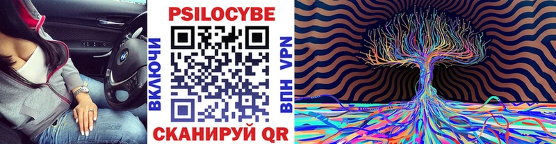 магазин Судогда Псилоцибиновые грибы Psilocybine cubensis